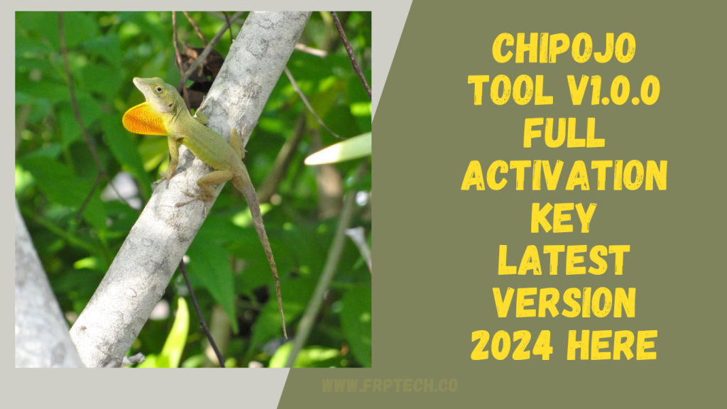 Chipojo Tool v1.0.0 Full Activation Key Latest Version 2024 Here